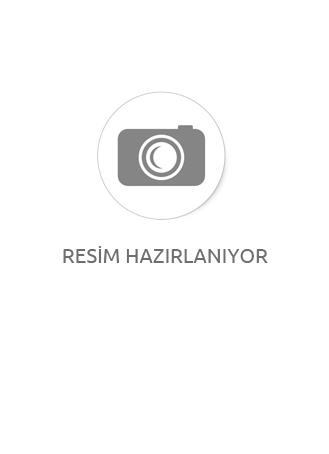 Rich Multi Surface 2232 KESTANE Akrilik Boya 120cc